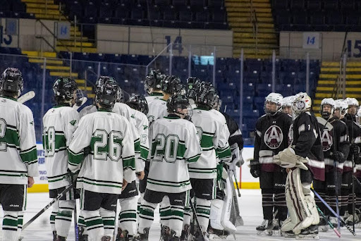 Players line up to show good sportsmanship.