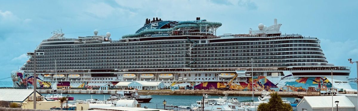 A Student’s Ranking of the Major Cruise Lines - 2026